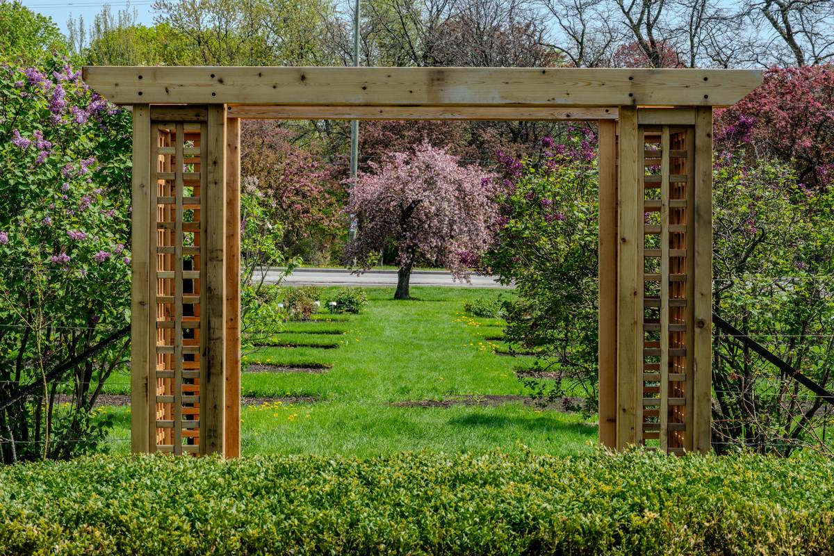 Detailed close-up of pergola details wooden structure showing mortise-and-tenon joints, galvanized steel connectors, and pressure-treated post bases at ground level