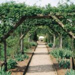 Garden Structure to Support Climbing Plants: 7 Proven Tips to Avoid Costly Mistakes