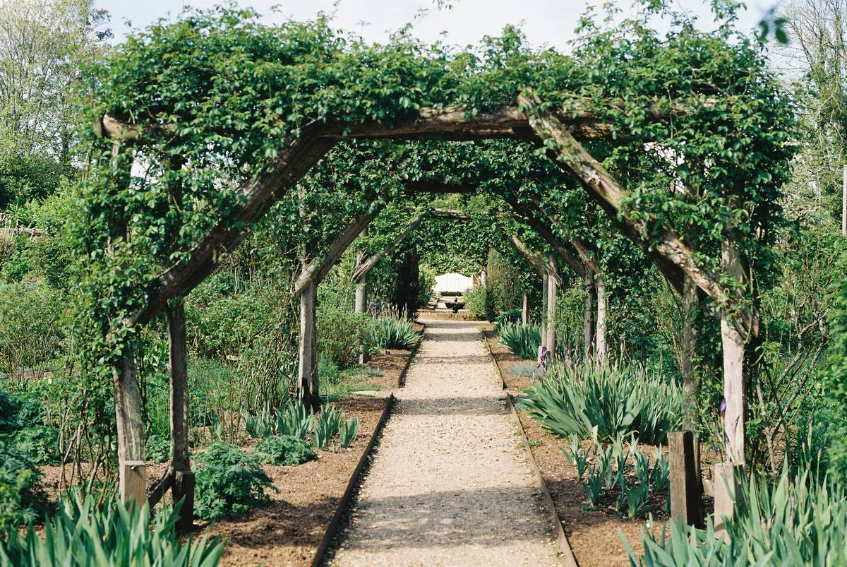Garden Structure to Support Climbing Plants: 7 Proven Tips to Avoid Costly Mistakes
