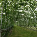 Pergola Details Wooden Structure: 7 Proven Tips to Avoid Costly Structural Mistakes