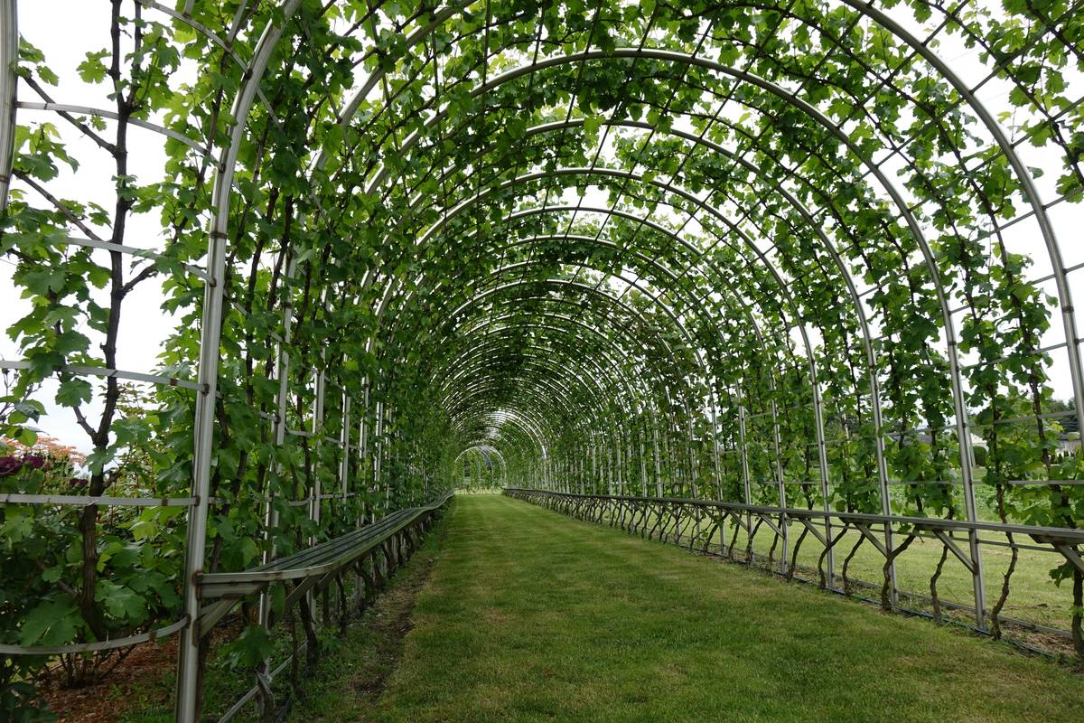 Pergola Details Wooden Structure: 7 Proven Tips to Avoid Costly Structural Mistakes